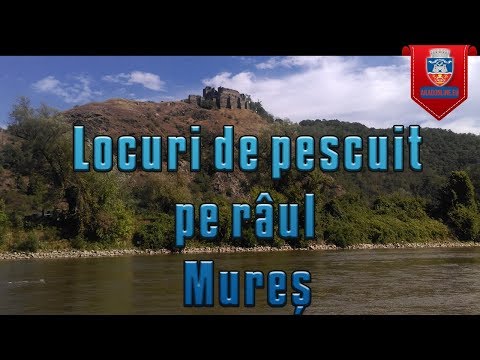 Locuri de pescuit pe raul Mures Arad
