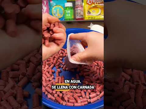 El Truco De Pesca Que Parece Magia! #shorts