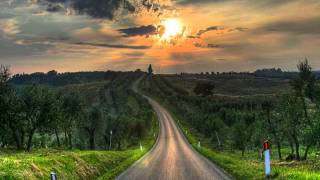 Loneliness And The Music