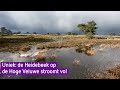 Uniek natuurverschijnsel op De Hoge Veluwe