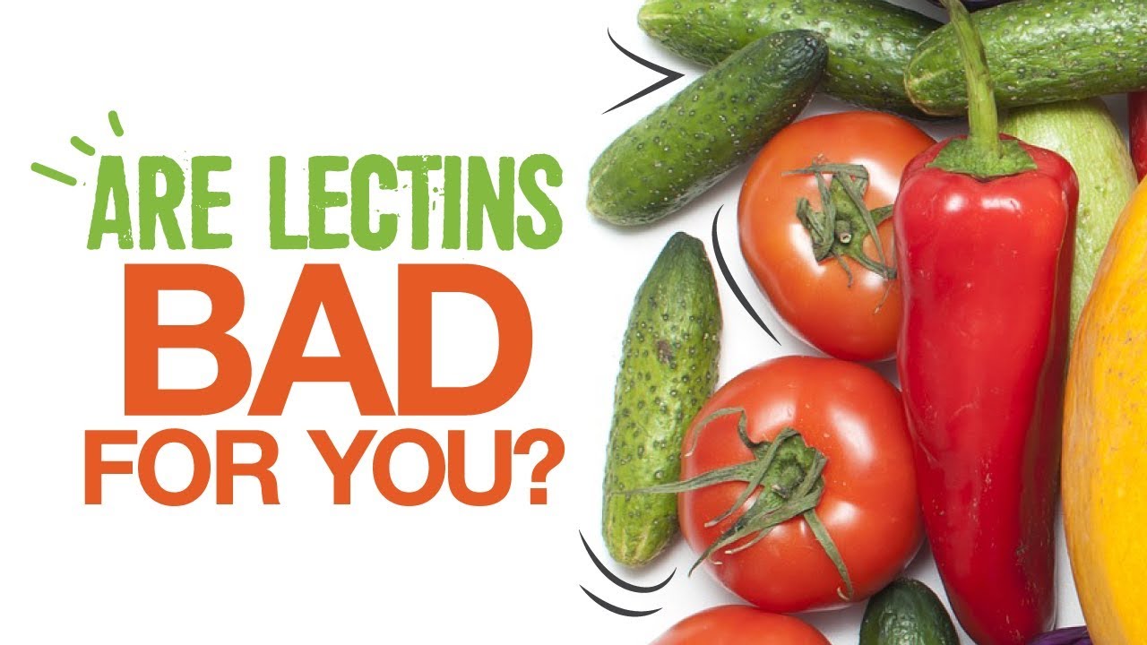 Should you be afraid of lectins?