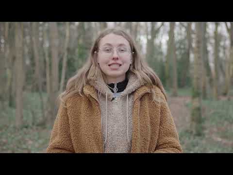 Perky's Dog Training video.