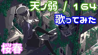 【桜春】青春時代の、天ノ弱 歌ってみた【歌コレ2022秋】