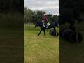 Flying! #horse #shorts #viral - The Fell Pony Flying! #horse #shorts #viral