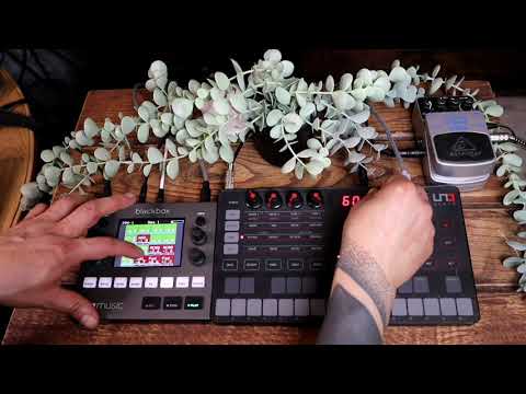 Is the Uno Synth good for techno? | Live set ideas Feat. 1010music black box & behringer delay