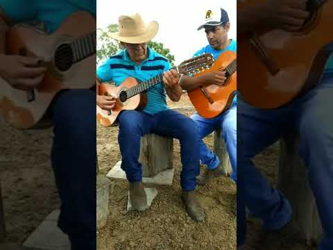 Goiano e Paranaense a  Sereia e o Negro dagua