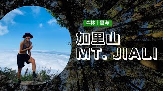 Mt. Jiali - sun, clouds and fog all in one day