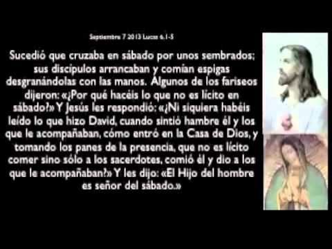 Evangelio septiembre 7 2013