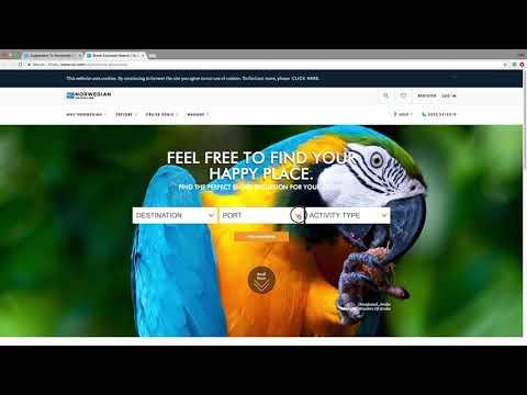 Norwegian Cruise Line - Customer Success Story