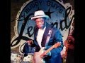 Buddy Guy ~ Suits Me To A Tee 