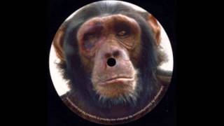 Mickael Nyqvist & Jens Winroot - Spank The Monkey (Absorb Project Remix) (B2)
