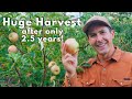 First Ever Home Orchard Tour