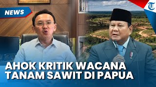 KRITIK MENOHOK AHOK! Nilai Wacana Penanaman Sawit di Papua Tak Masuk, Guntur Romli: Gawat!