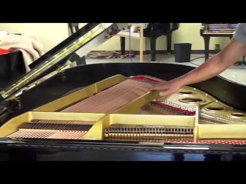 Yamaha C3 Grand Piano Comparison