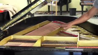 Yamaha C3 Grand Piano Comparison