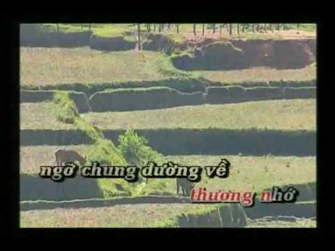 Bóng dáng ngày xưa Sheet - Quang Dũng