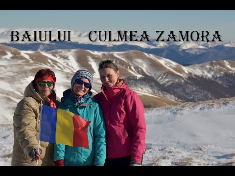 Culmea Zamora  -Munții Baiului🌞🌲🐾