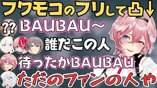 フワモコの真似してポカジャン凸待ちに現れるタカカことルイ姉が面白すぎたw【ホロライブ 切り抜き／白上フブキ／鷹嶺ルイ／夏色まつり／オリー／ホロドリ】