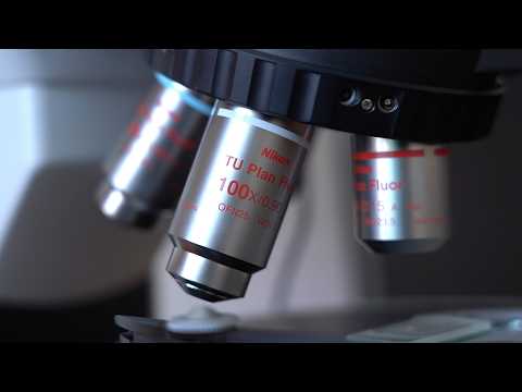 ХРАНИТЕЛИ ТАЙН «ДРАКОНОВ» | Новости Камчатки | Масс Медиа