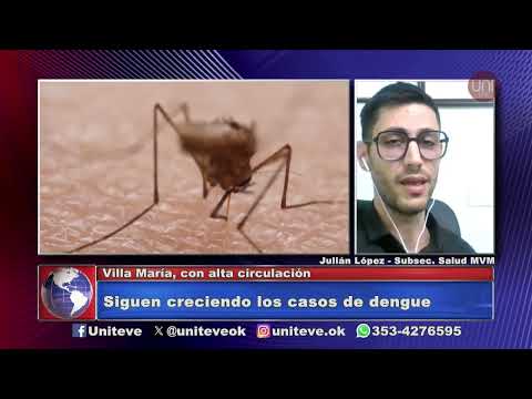 Siguen creciendo los casos de dengue