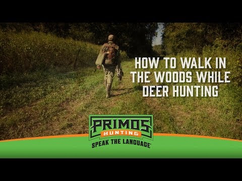 How to Walk in the Woods