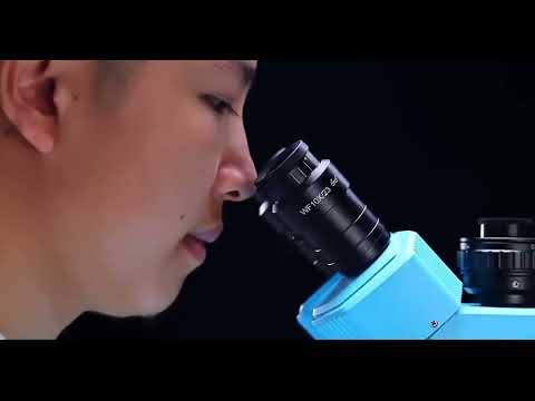 Kính hiển vi 3 mắt MAANT R60 (kèm đèn)