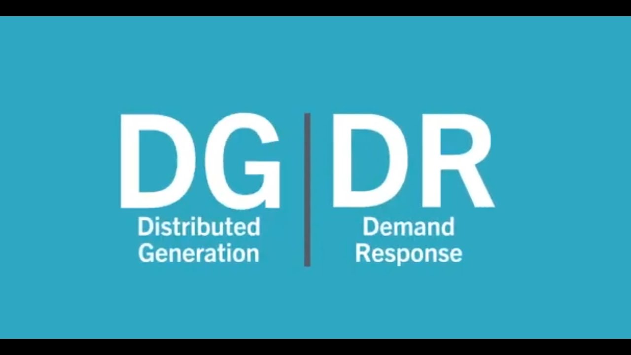 Distributed Generation and Demand Response in ERCOT