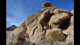 29 Palms California and Joshua Tree National Park