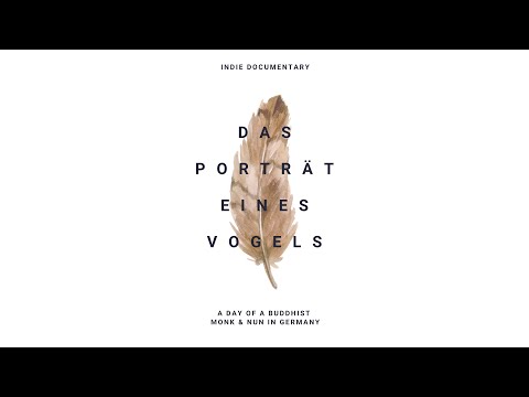 The Portrait of A Bird