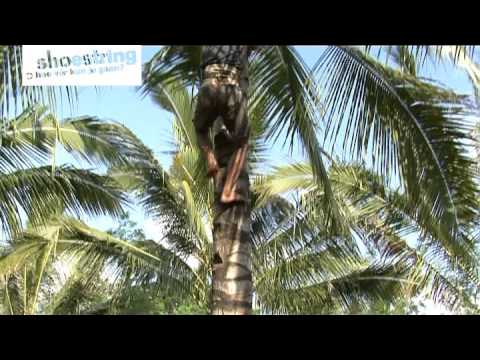 Sfeerimpressie (film)