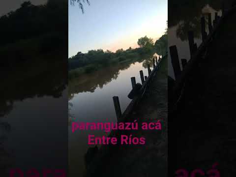 camping @los paraísos entre ríos ibicuy