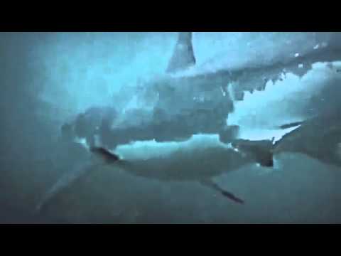 Ebba Hultkvist  Påsatt