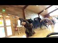 Qi Gong Exercises With Br Phap Dung Plum Village