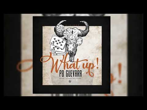 P8 Guevara-Vividor  Prod. por Gordo Del Funk (Album Completo)