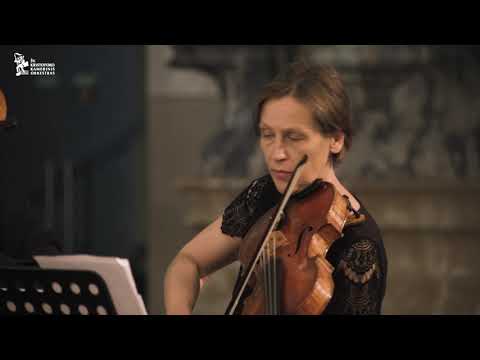 L. Boccherini Quiet Night Music of the Streets of Madrid