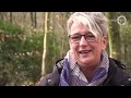 Gelderland Helpt 24 mei 2020