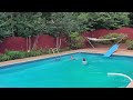 Diving Board Breaks As Boy Tries To Jump Into Swimming Pool 1339072