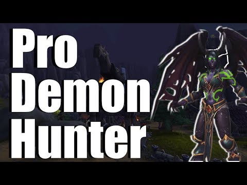 Pro Demon Hunter | World Of Warcraft