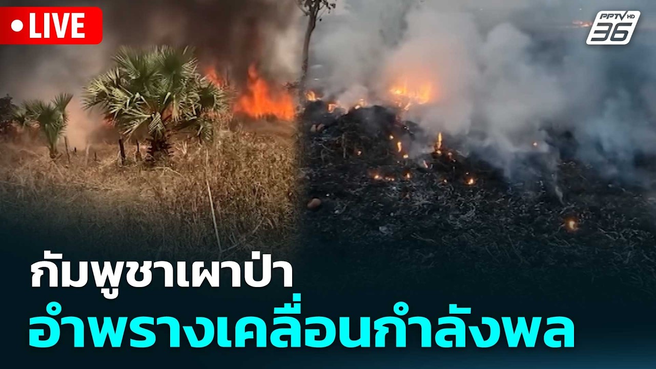 🔴 Live โชว์ข่าวเช้านี้ | กัมพูชาเผาป่า อำพรางเคลื่อนก