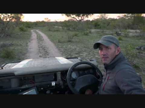 Pt 1 Wild Earth Live Sunrise Safari Drive at 5:00 AM  on Nov 17, 2016