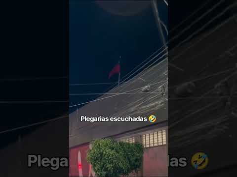 Bien ahí los chiquillos de #unimarc #Copiapó  #humor #bandera #atacama