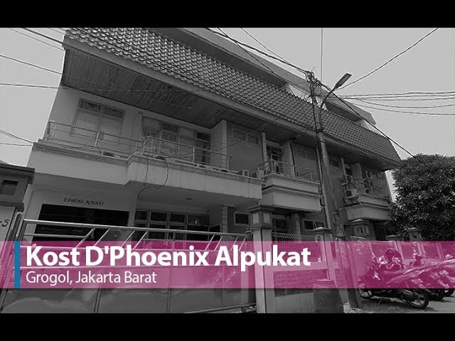 D Phoenix Alpukat Tanjung Duren