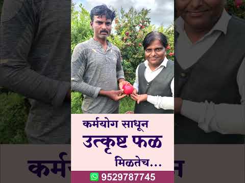 Inside MRC Soil Testing Lab