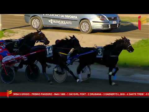 V Corsa del 27 dicembre 2022 - 3 Anni - Metri 1600 - Gentlemen