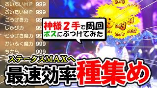 【ステ999】神様２手撃破種集め！ラスボス殴ってみた【ドラクエ７リイマジンド】※ネタバレ注意