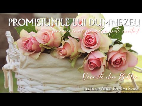 PROMISIUNILE LUI DUMNEZEU1