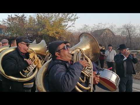 Fanfara de la Valea Mare (Costel Șarambel)-Tămășeni, 8 Noiembrie 2022 (3)