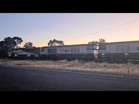 6AM9 SCT up "Dark Ghost" (4 locos, 65P), Penfield to Laverton, 2055, 13/2/26, Murtoa VIC 