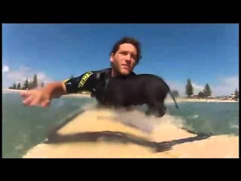 Прасе-сърфист яхна вълната в Нова Зеландия