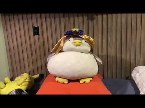 Pingu es un jeque árabe 😱